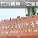 专题五：“天翼”承载东方希望   实现集中式应用