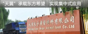 “天翼”承载东方希望   实现集中式应用
