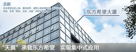 专题五：“天翼”承载东方希望   实现集中式应用
